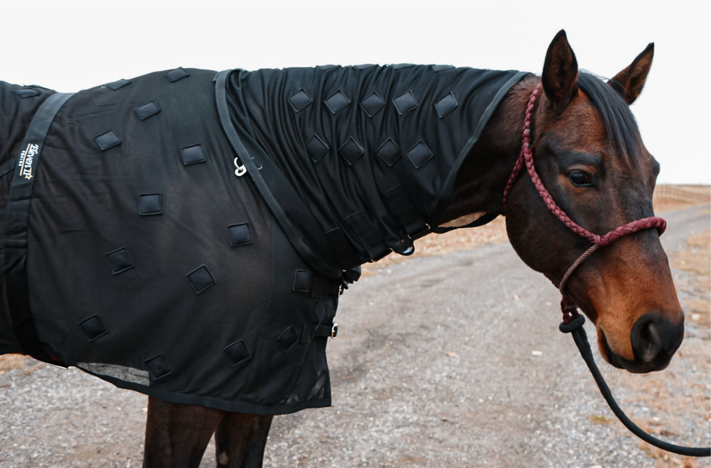 Black Magnetic Neck Cover