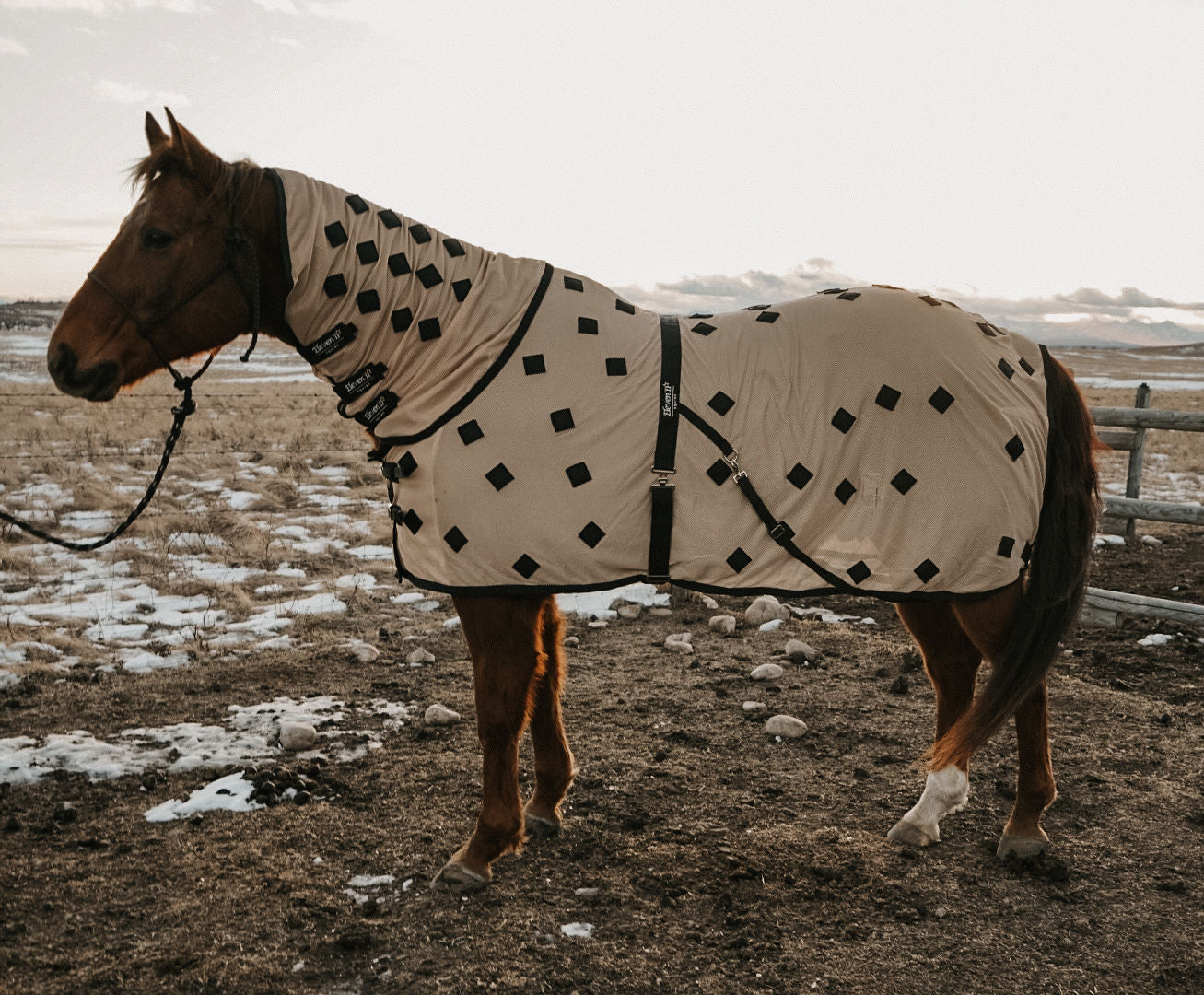 Cream Magnetic Neck Cover