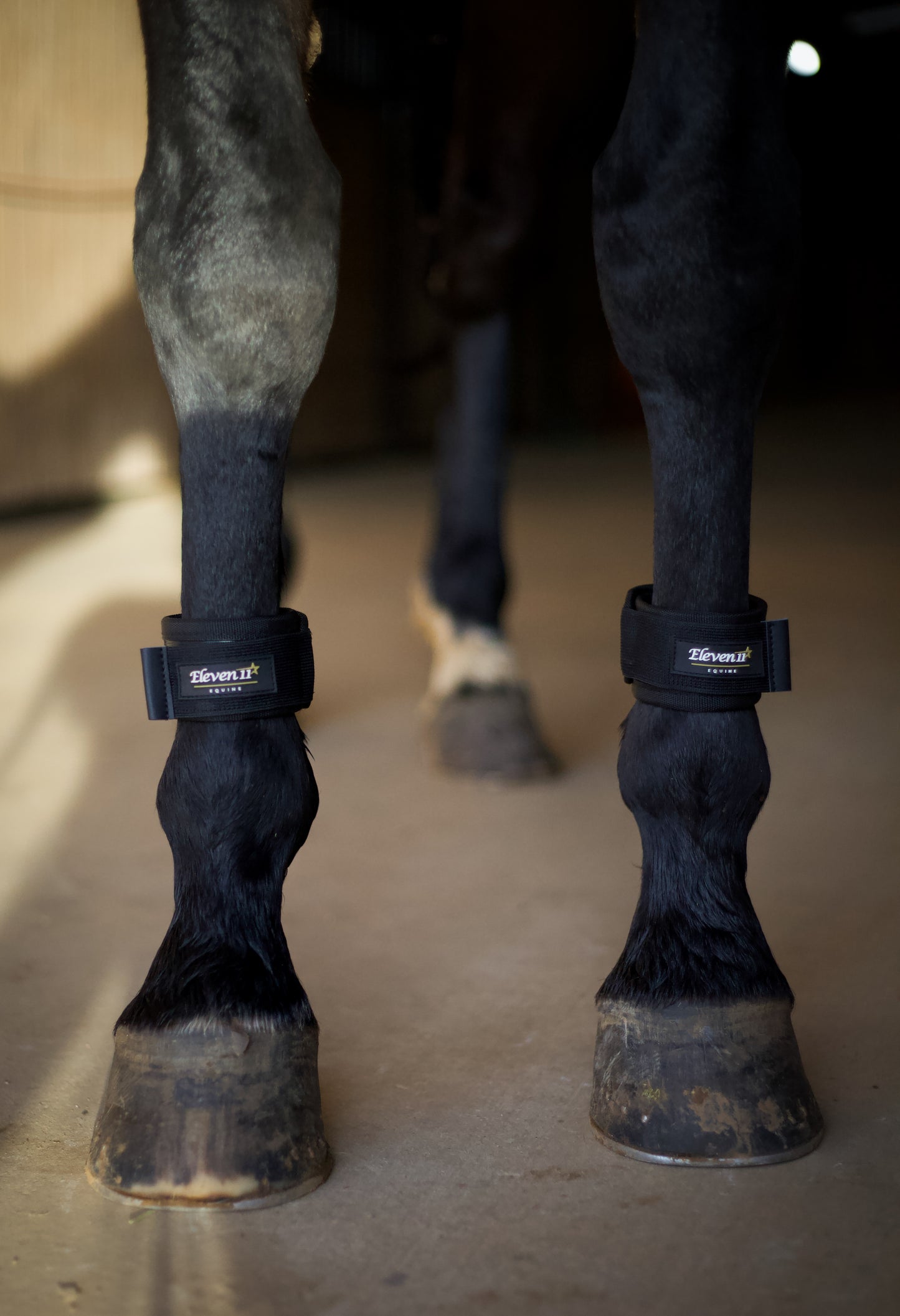 Magnetic Pastern Wraps