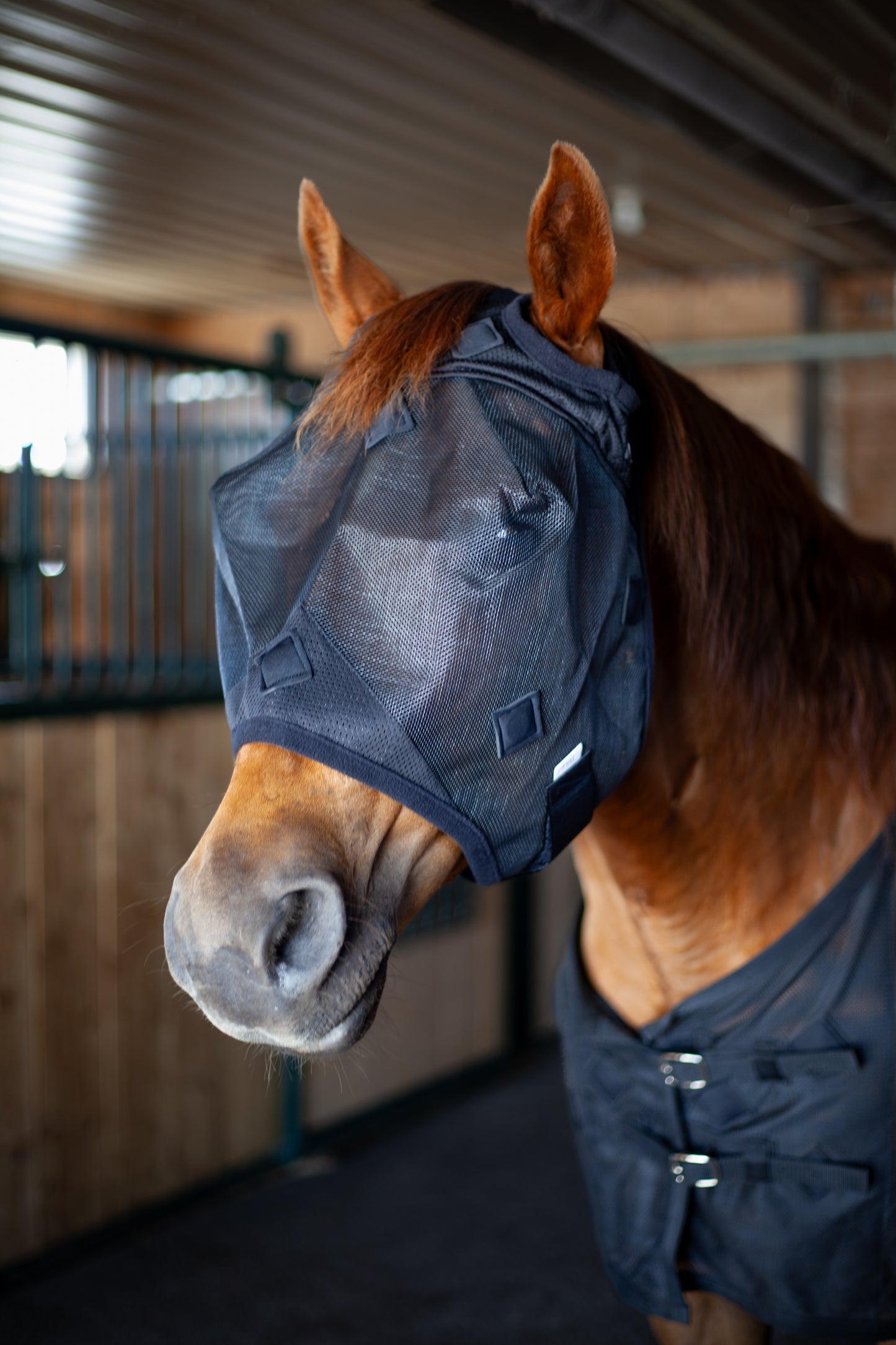 Black Magnetic Fly Mask