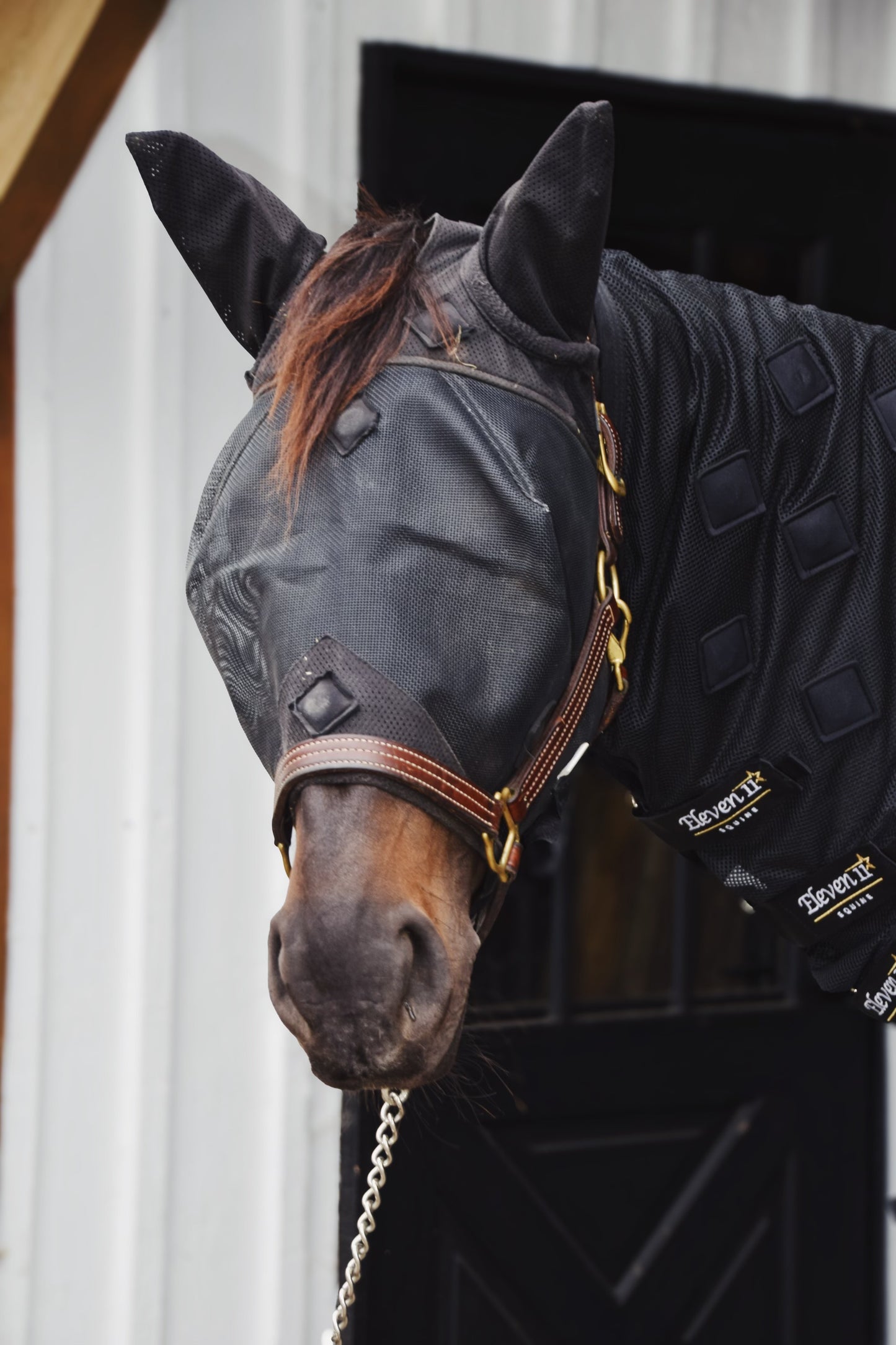 Black Magnetic Fly Mask