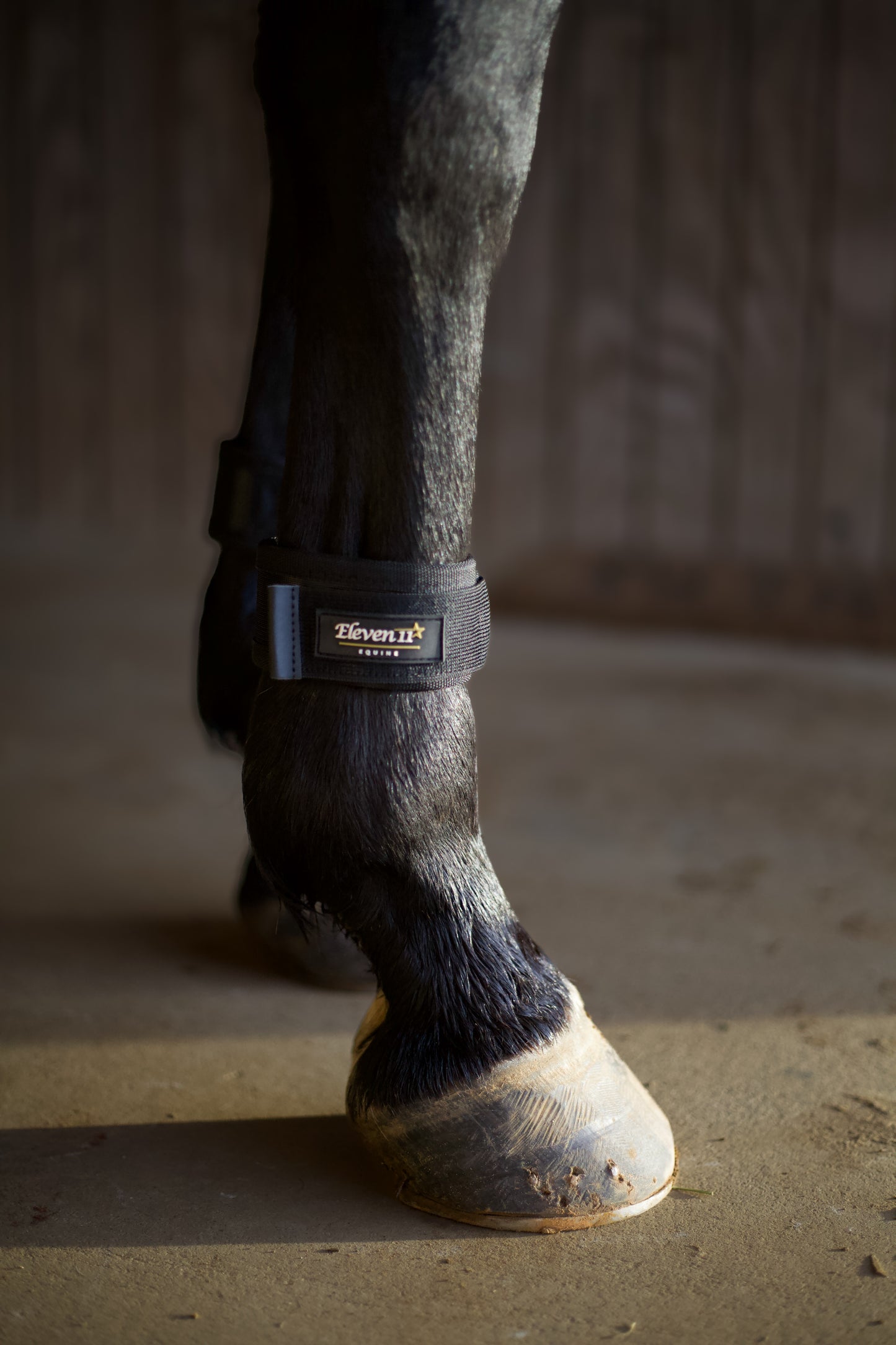 Magnetic Pastern Wraps