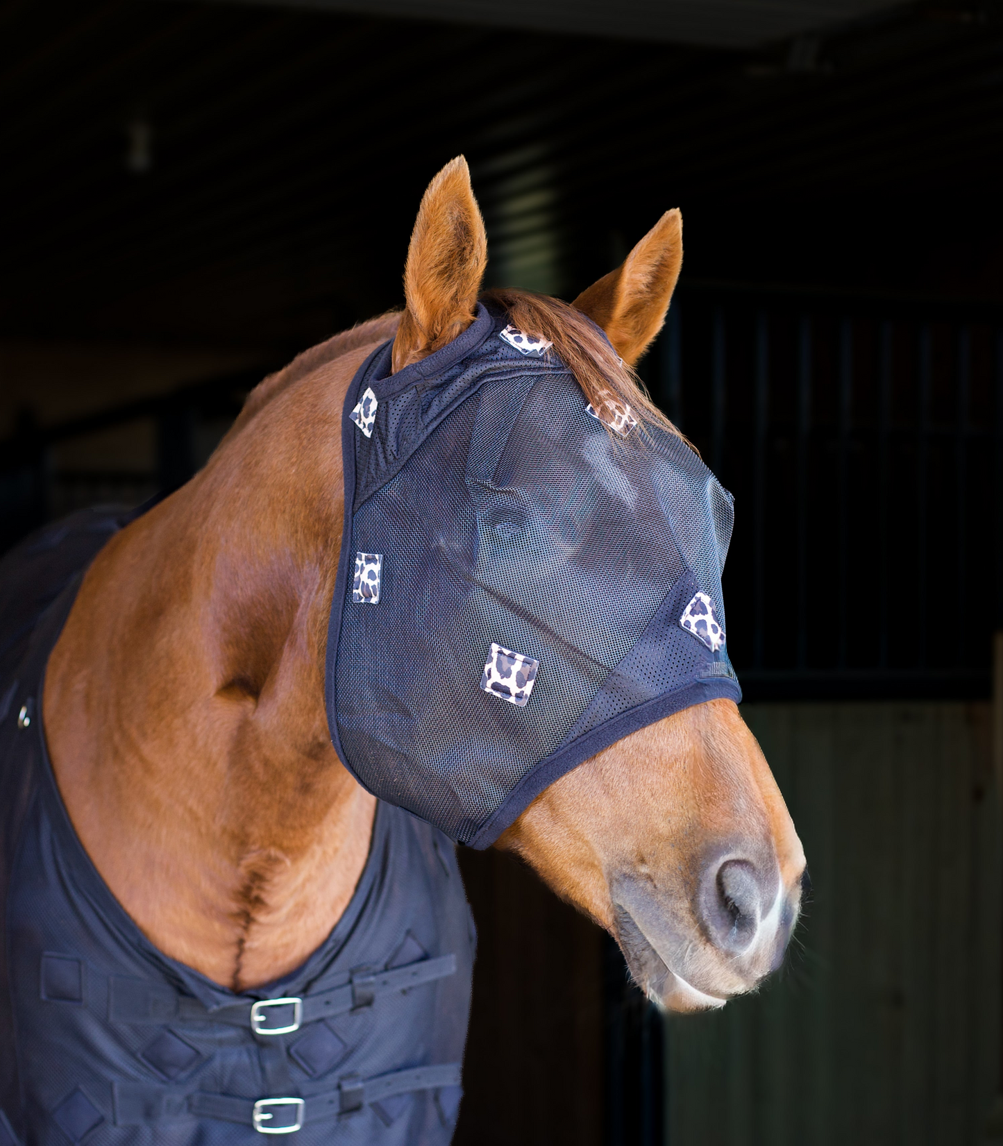 Cheetah Magnetic Fly Mask