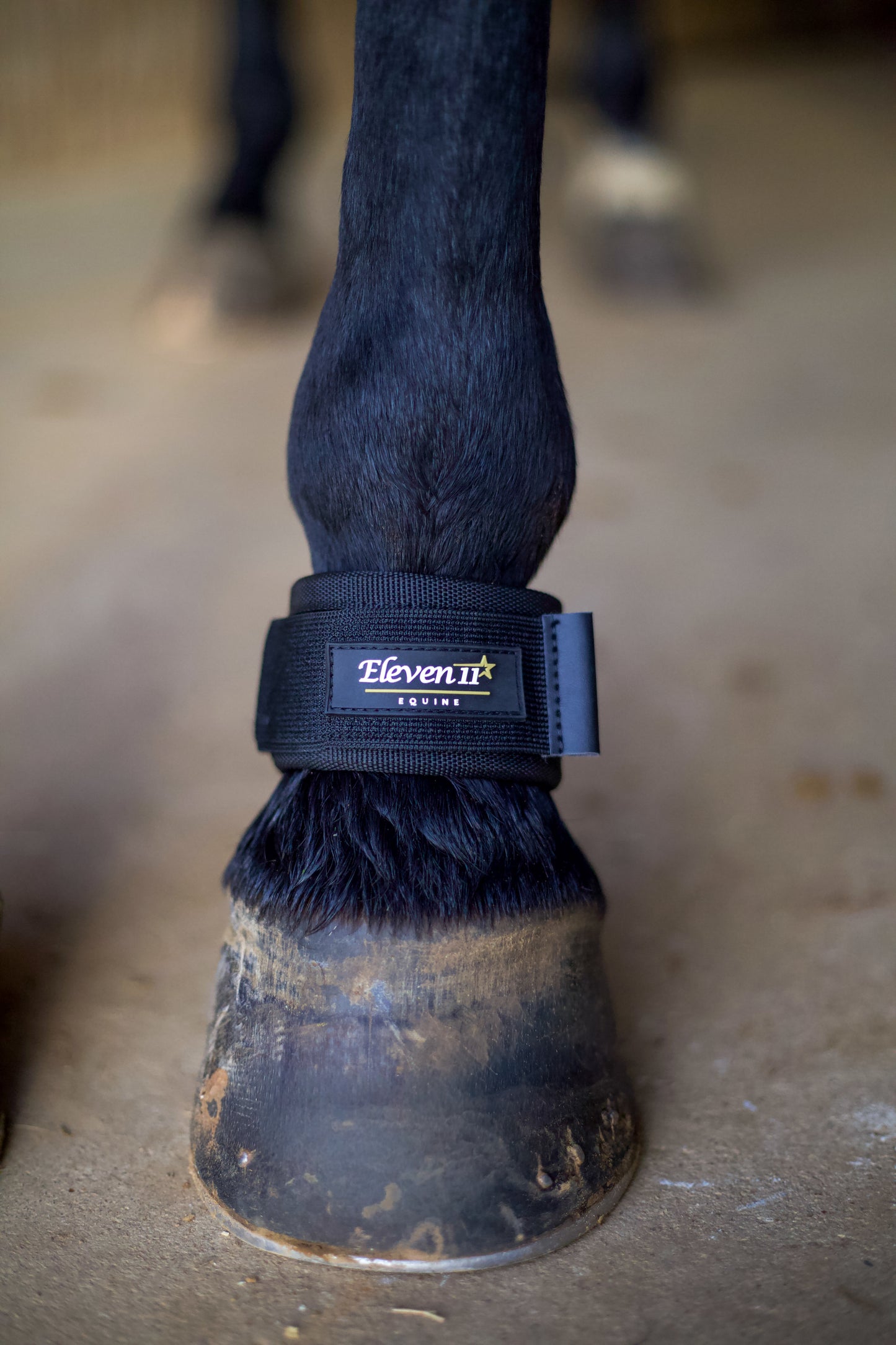 Magnetic Pastern Wraps
