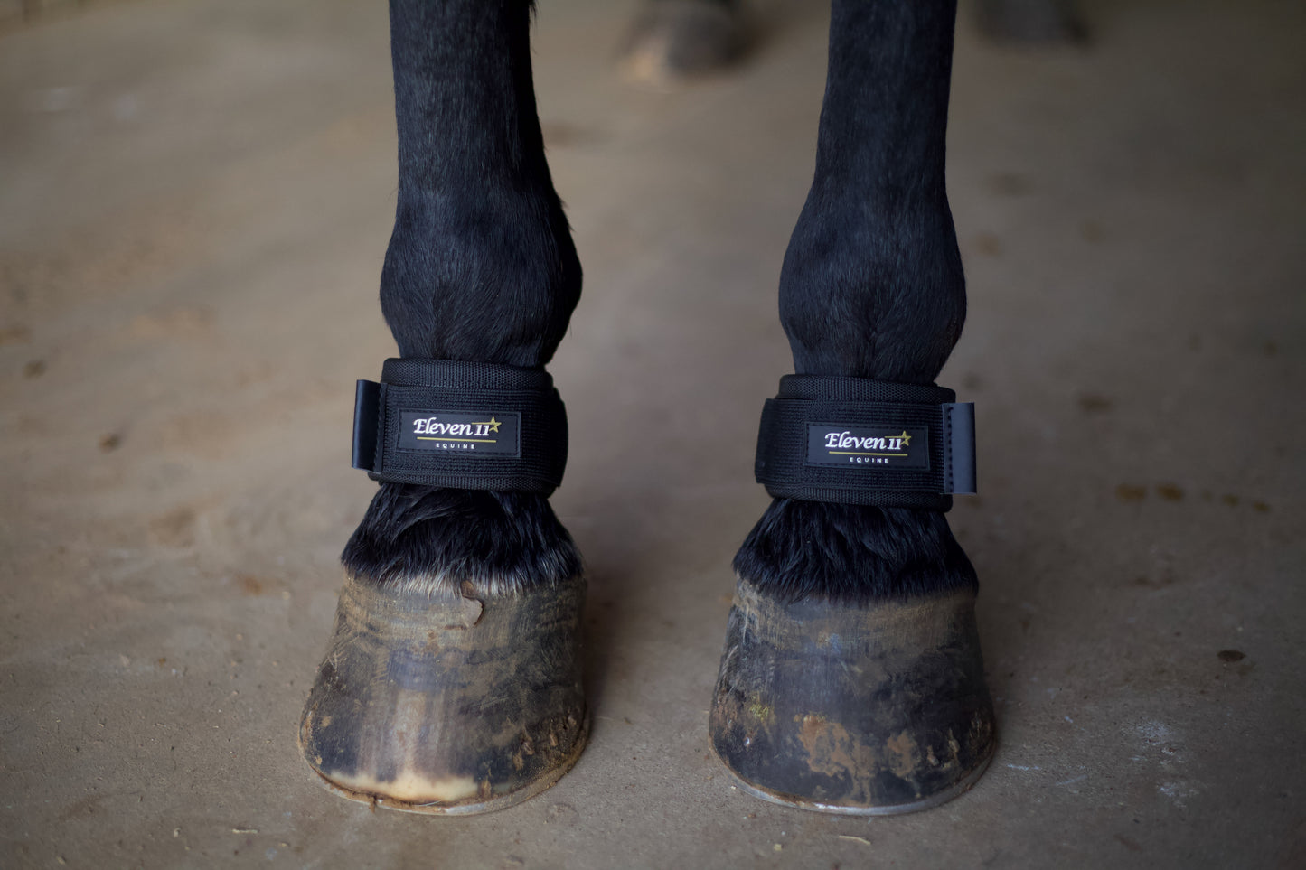 Magnetic Pastern Wraps