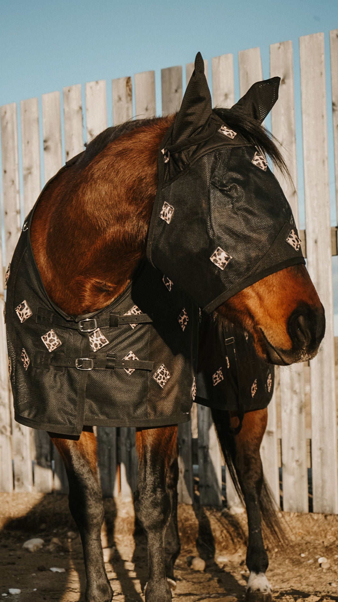 Cheetah Magnetic Fly Mask