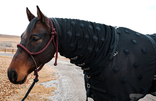 Magnetic Neck Cover